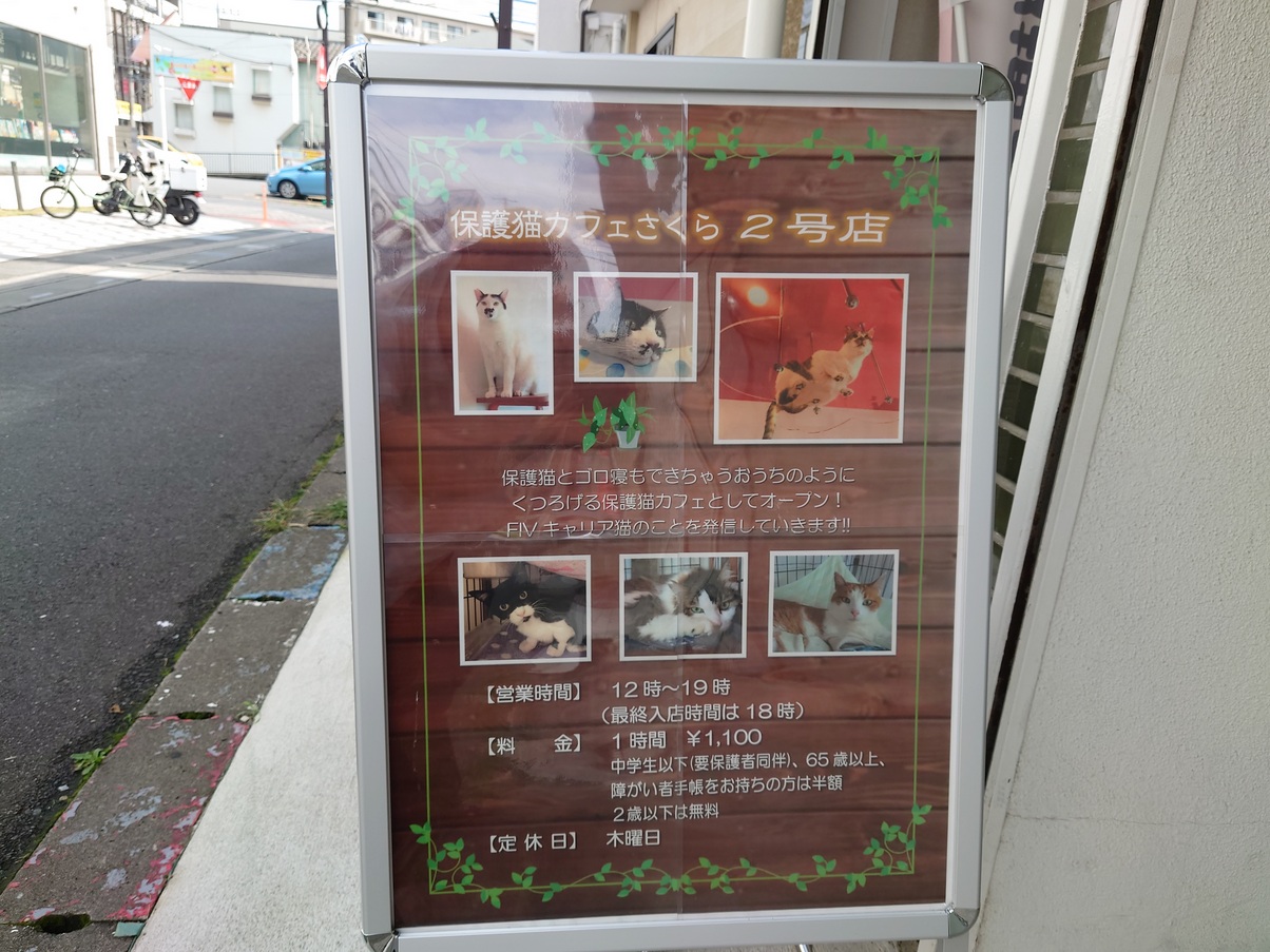 越谷駅東口、ALCoさんの近くに保護猫カフェさくら2号店が出来ていた【がやてっく開店】