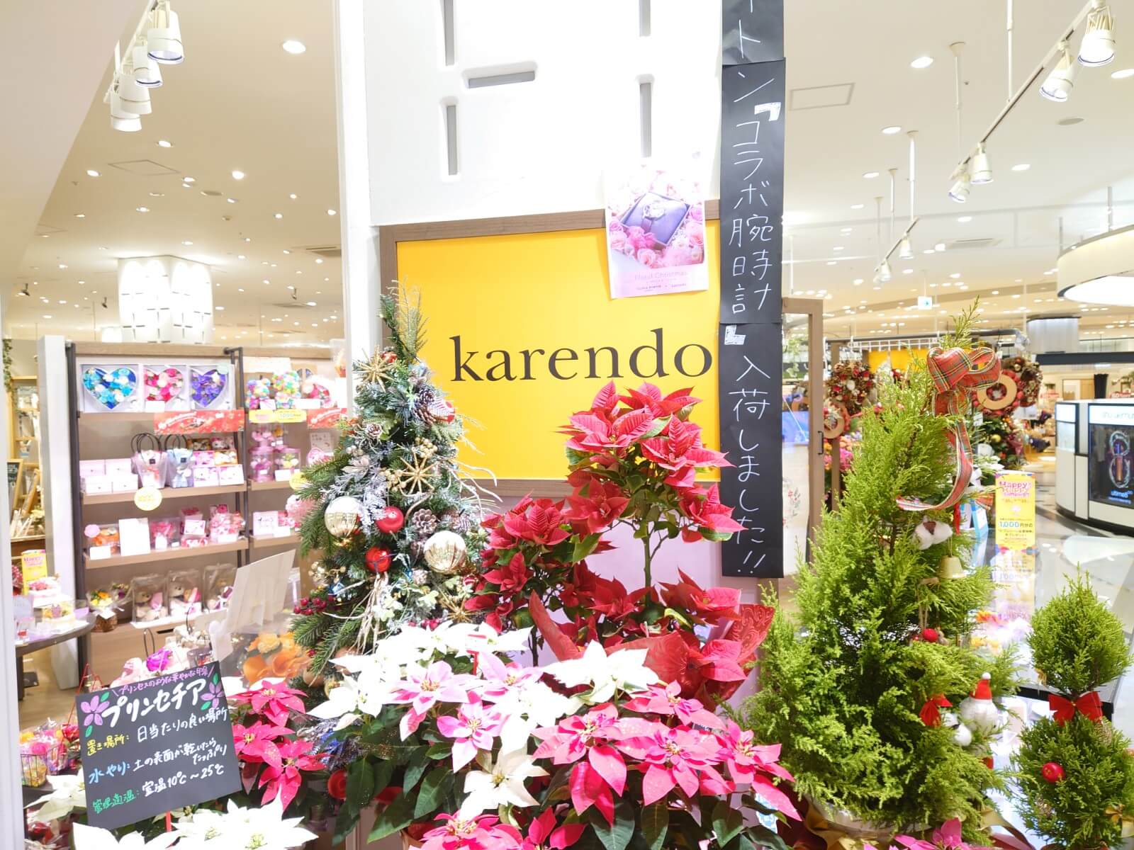 レイクタウンkazeの2FにKarendoがオープンしてました【がやてっく開店】...