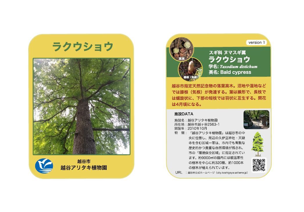 6月6日(火)から越谷アリタキ植物園の来園者にオリジナルカードを無料で配布【がやてっくイベント】