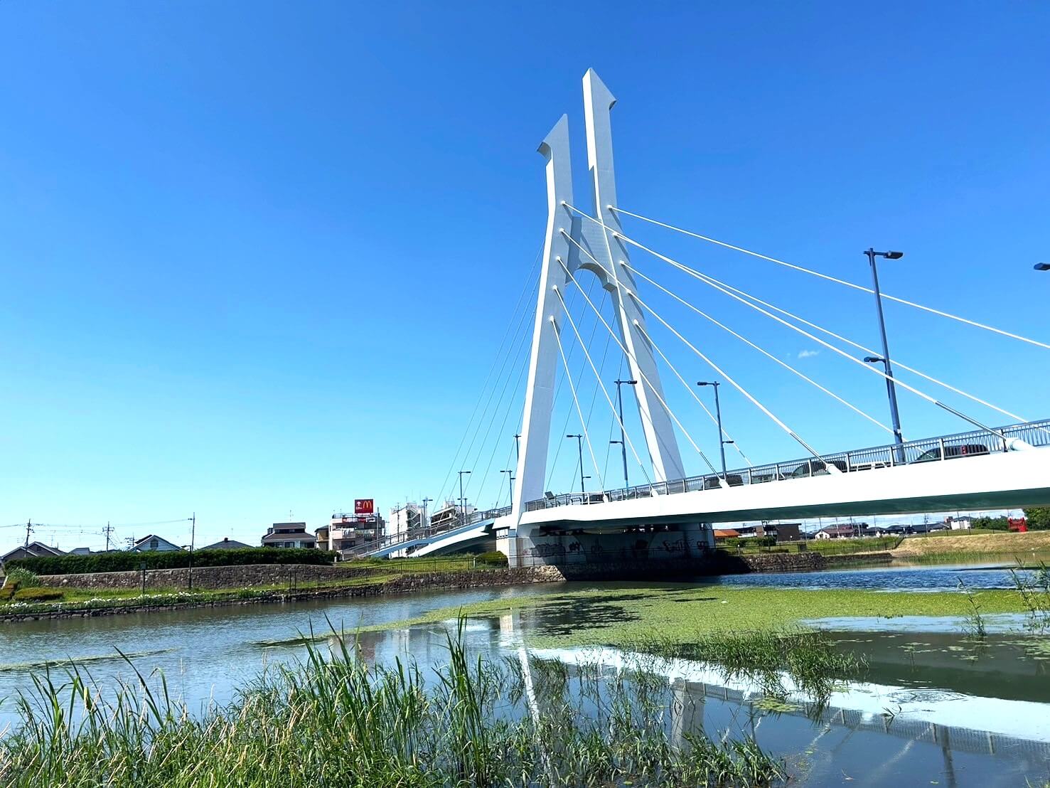 【Vol.10】こしがや百景～越谷市の未来を繋ぐ架け橋～