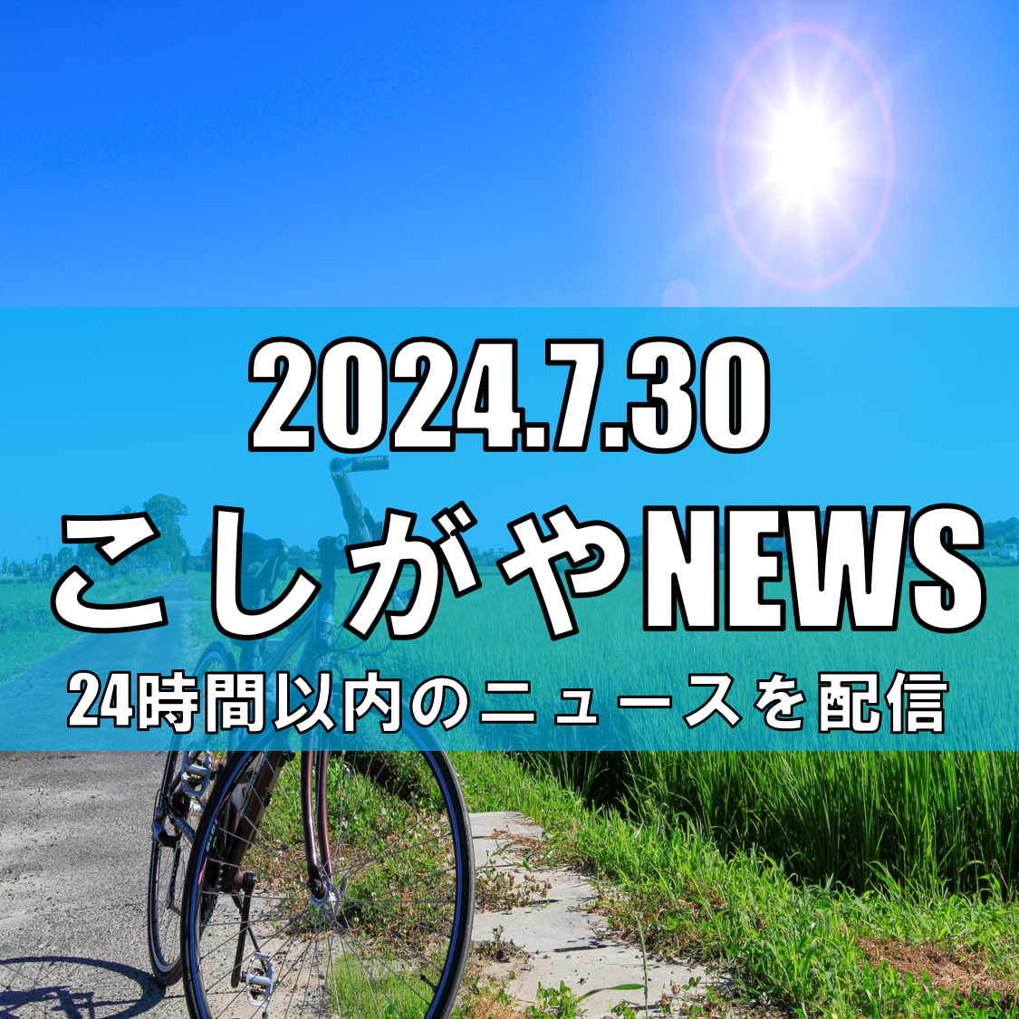 越谷市の田んぼアート、色鮮やかな稲で「マツケンサンバ」を描く【越谷ニュース】