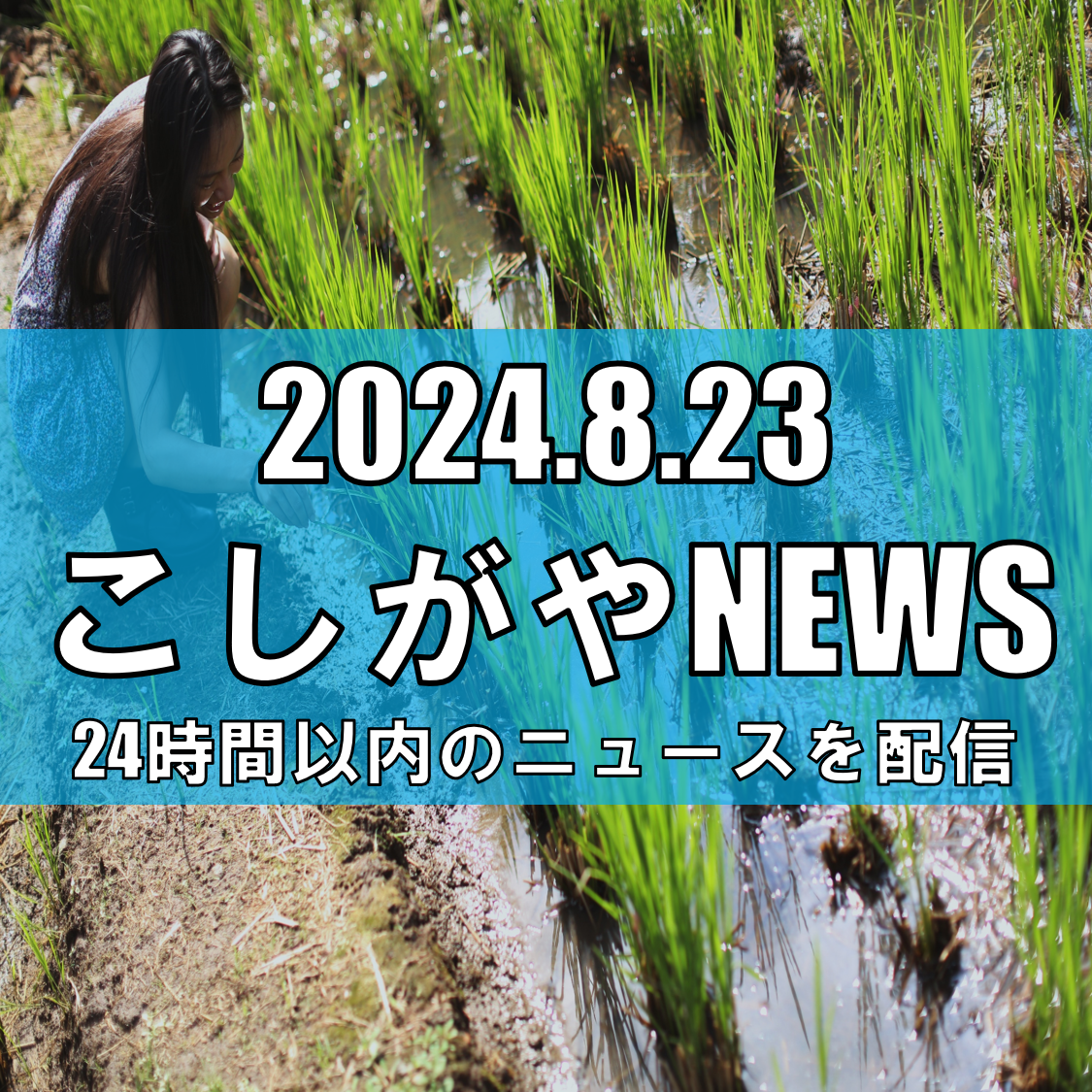 越谷市、革新的な「田んぼダム」による水害対策の実証実験を開始【越谷ニュース】