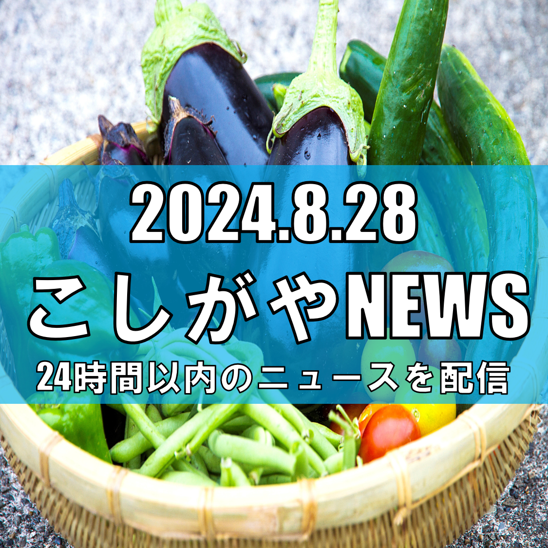 夏野菜の仕入れ値上がりとサラダバーの工夫【越谷ニュース】