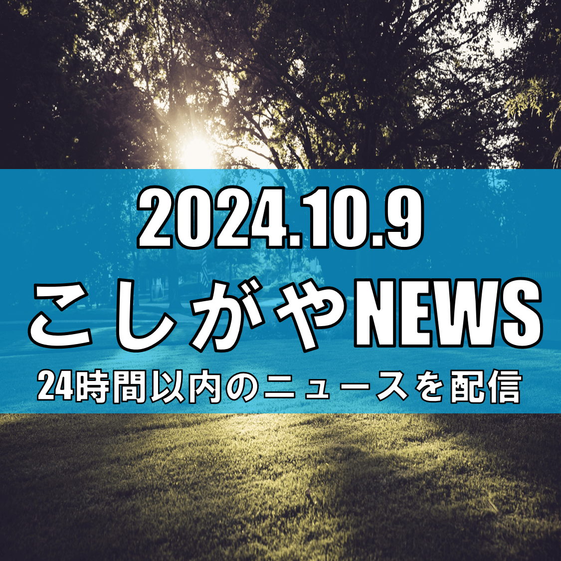 越谷市恩間の公園で下半身露出/警察が注意喚起【越谷ニュース】