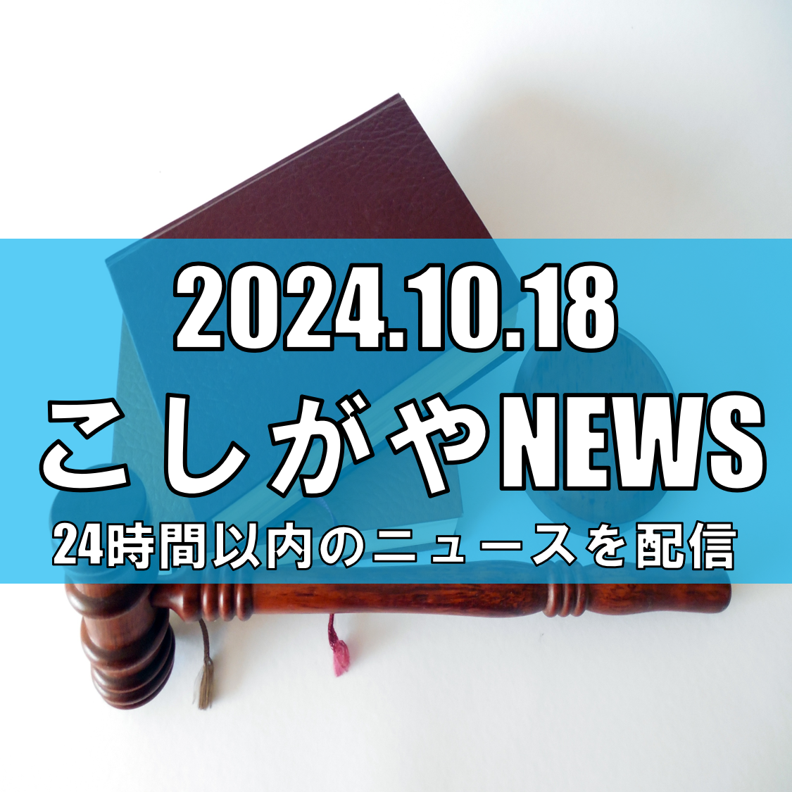 越谷市の元内装工、男性殺害で罪を認める 初公判で弁護側は別の男が事件主導と主張【...