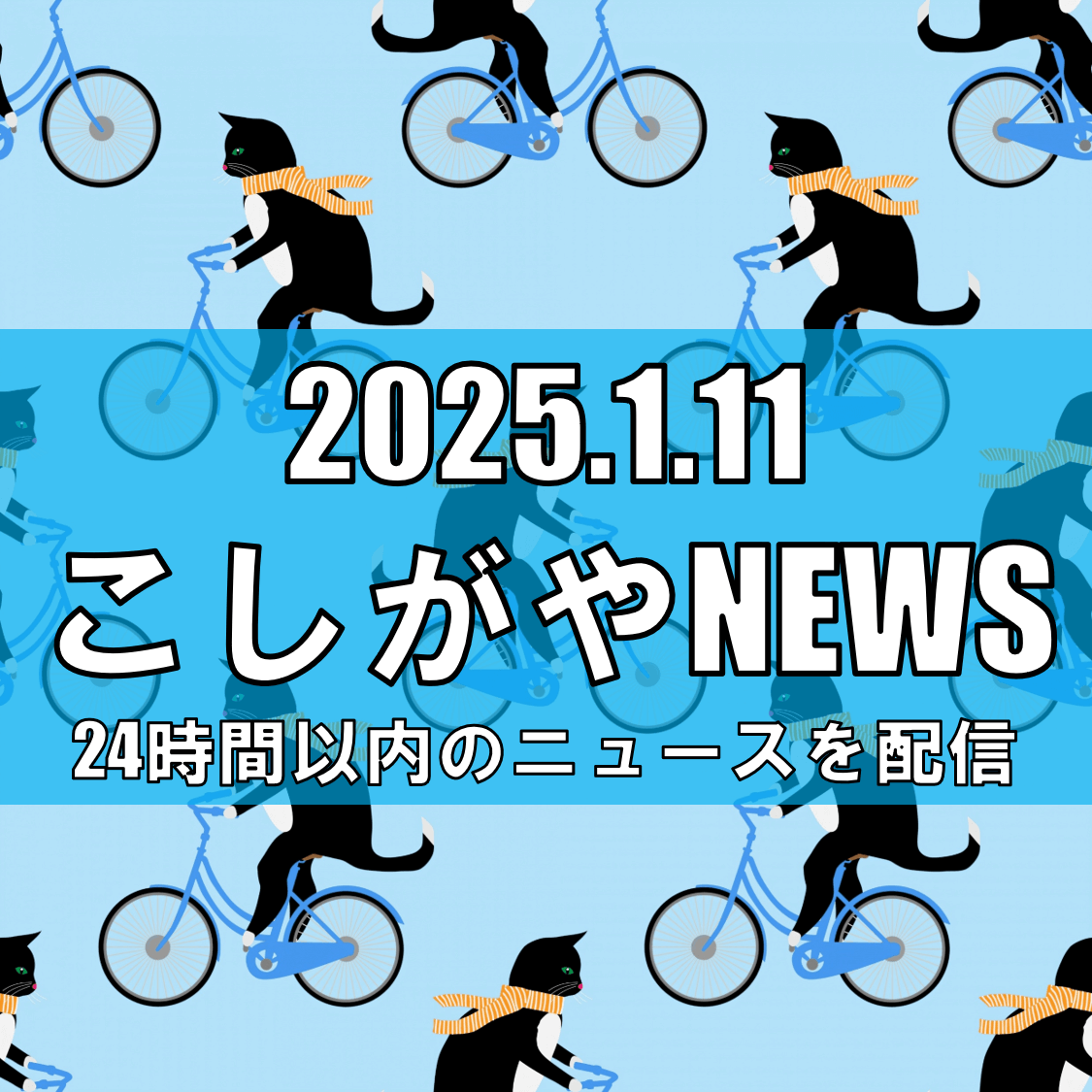 埼玉県越谷市で自動車盗難事件発生【越谷ニュース】