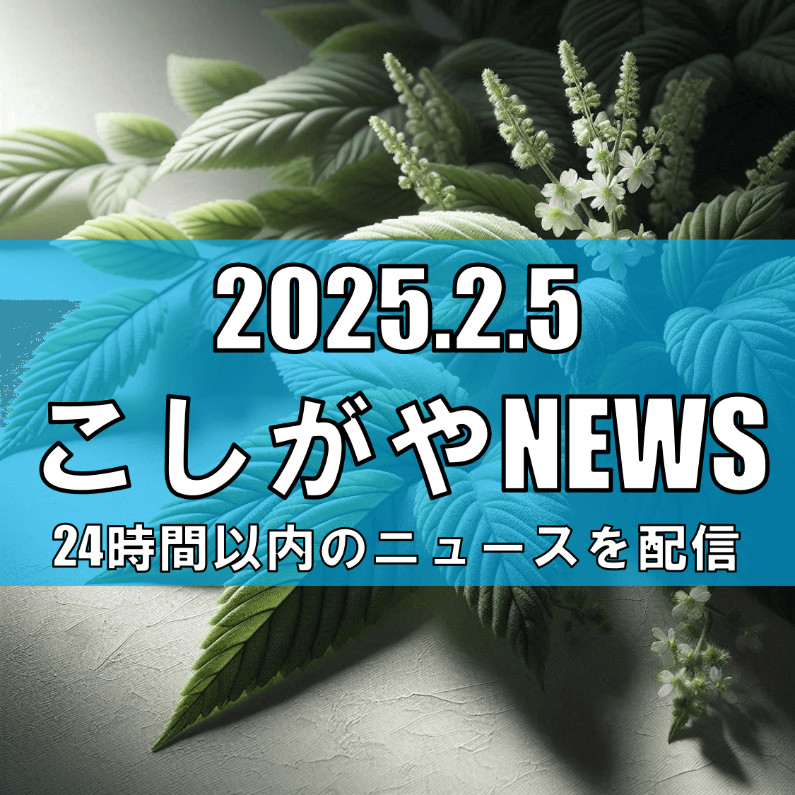 越谷市で発生、38万円相当の希少植物盗難事件【越谷ニュース】