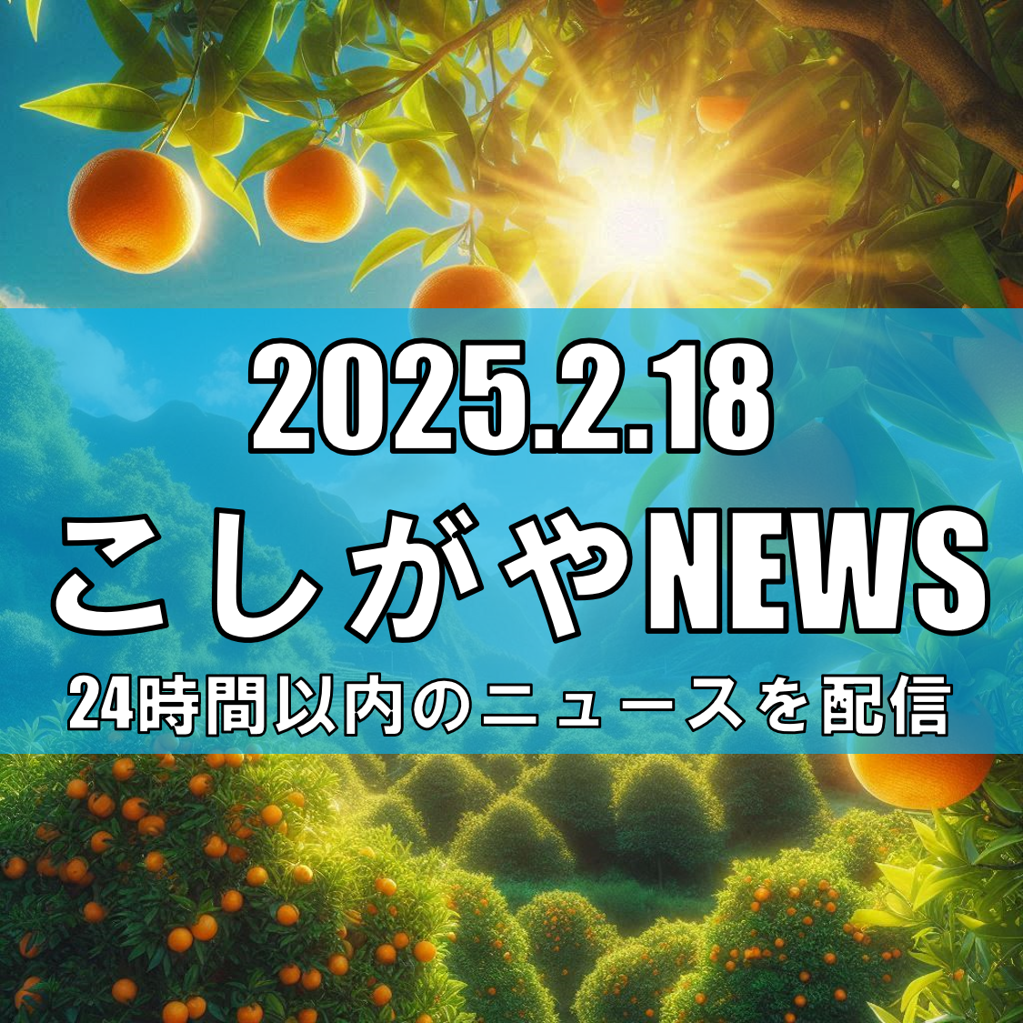 イオンレイクタウンmoriにて愛媛県フェアが開催されます【越谷ニュース】