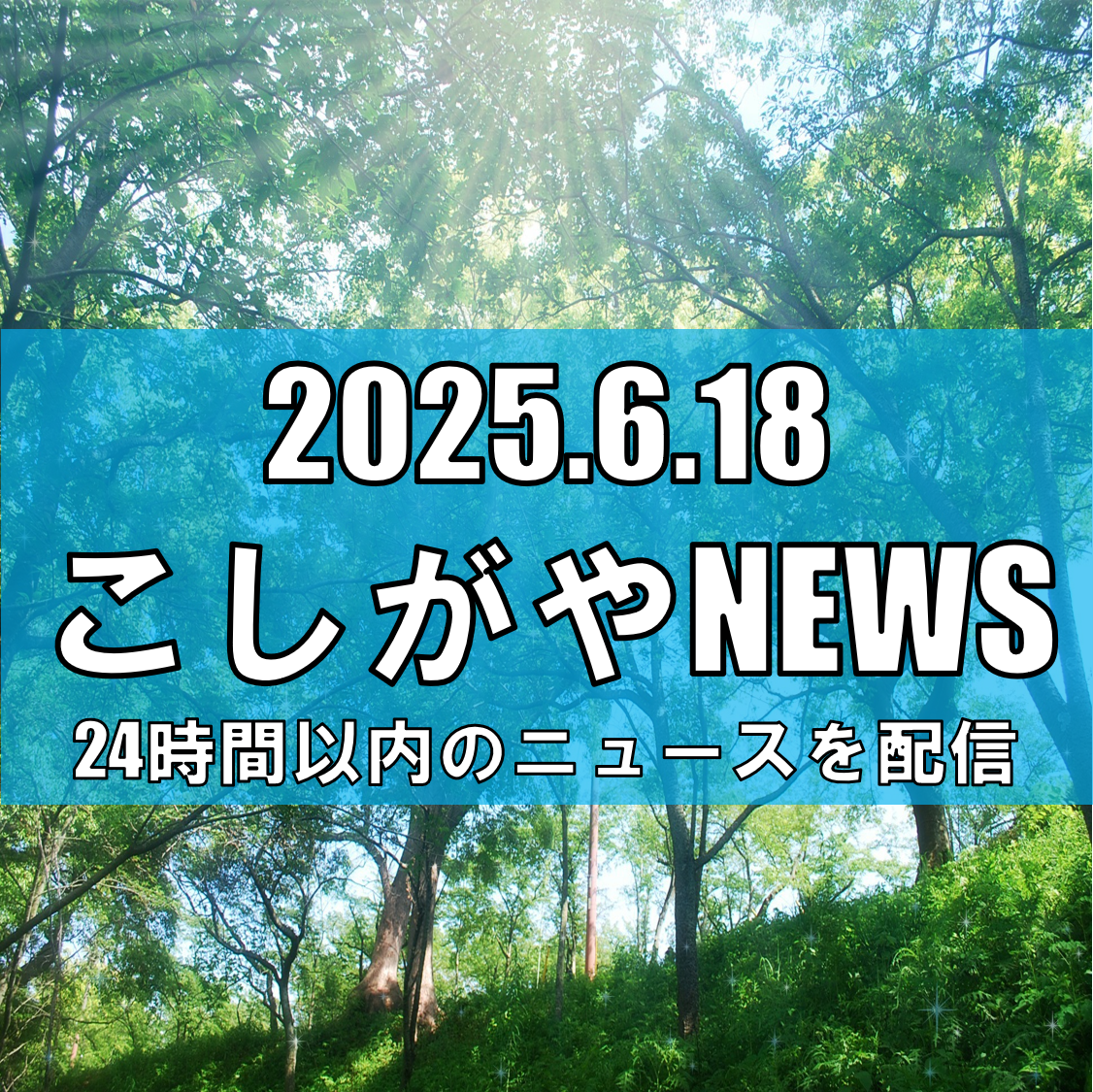 猛暑日の越谷市：熱中症で65歳女性が死亡、県内全域で警戒強まる【越谷ニュース】