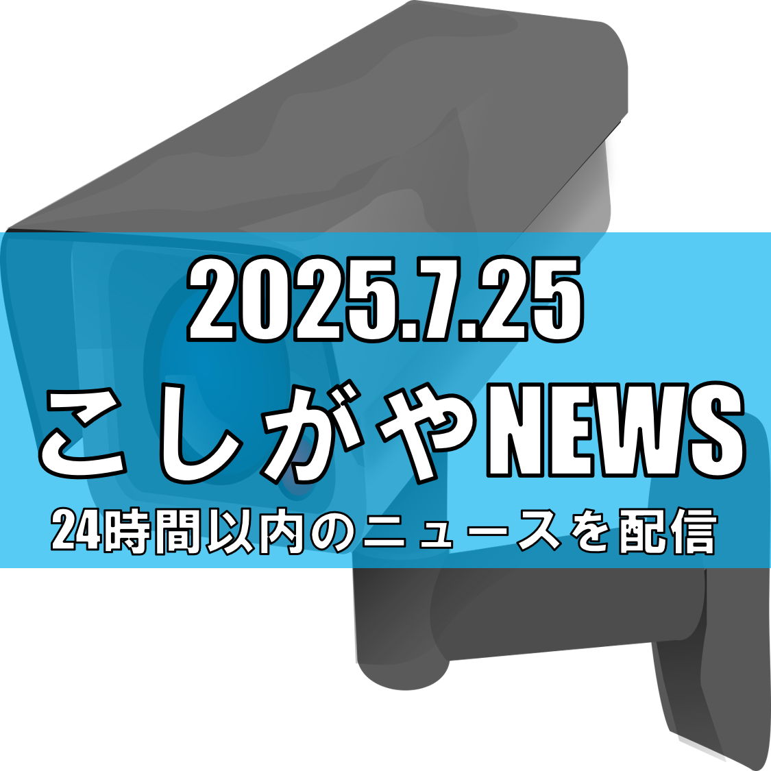 深夜の越谷市路上で発生、不同意わいせつ事件：防犯カメラの力で容疑者特定【越谷ニュース】
