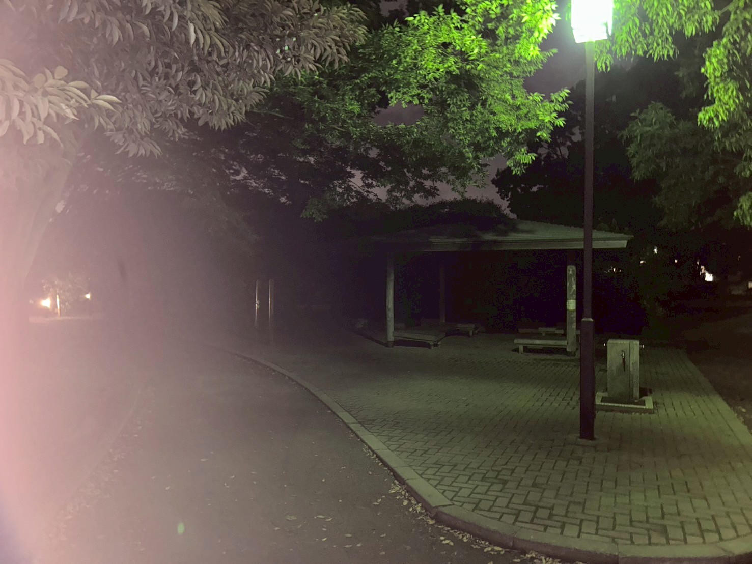 【Vol.65】こしがや百景～～