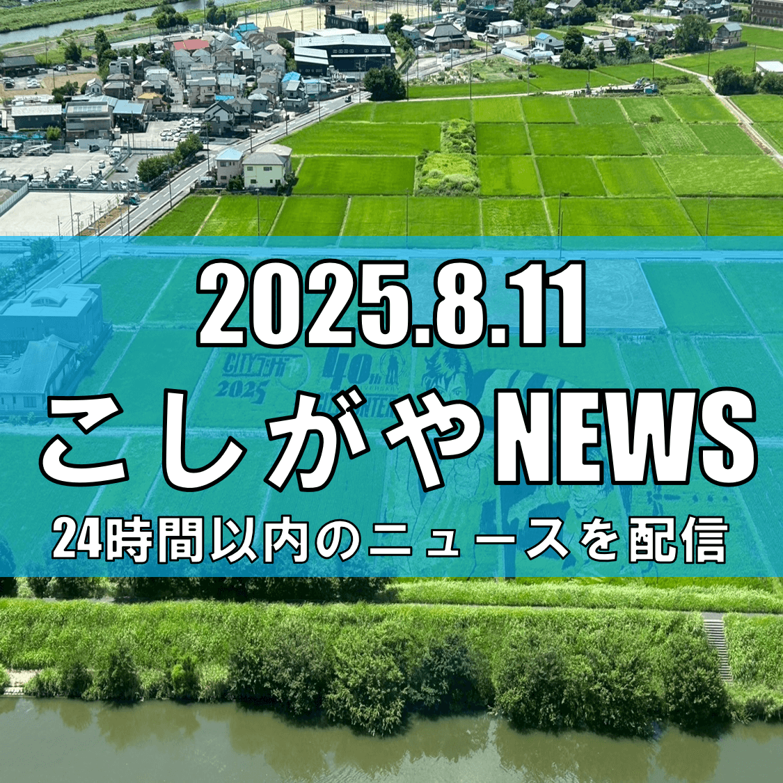 シティーハンターが田んぼに登場！埼玉・越谷の田んぼアート、展望台から無料で楽しめる【越谷ニュース】