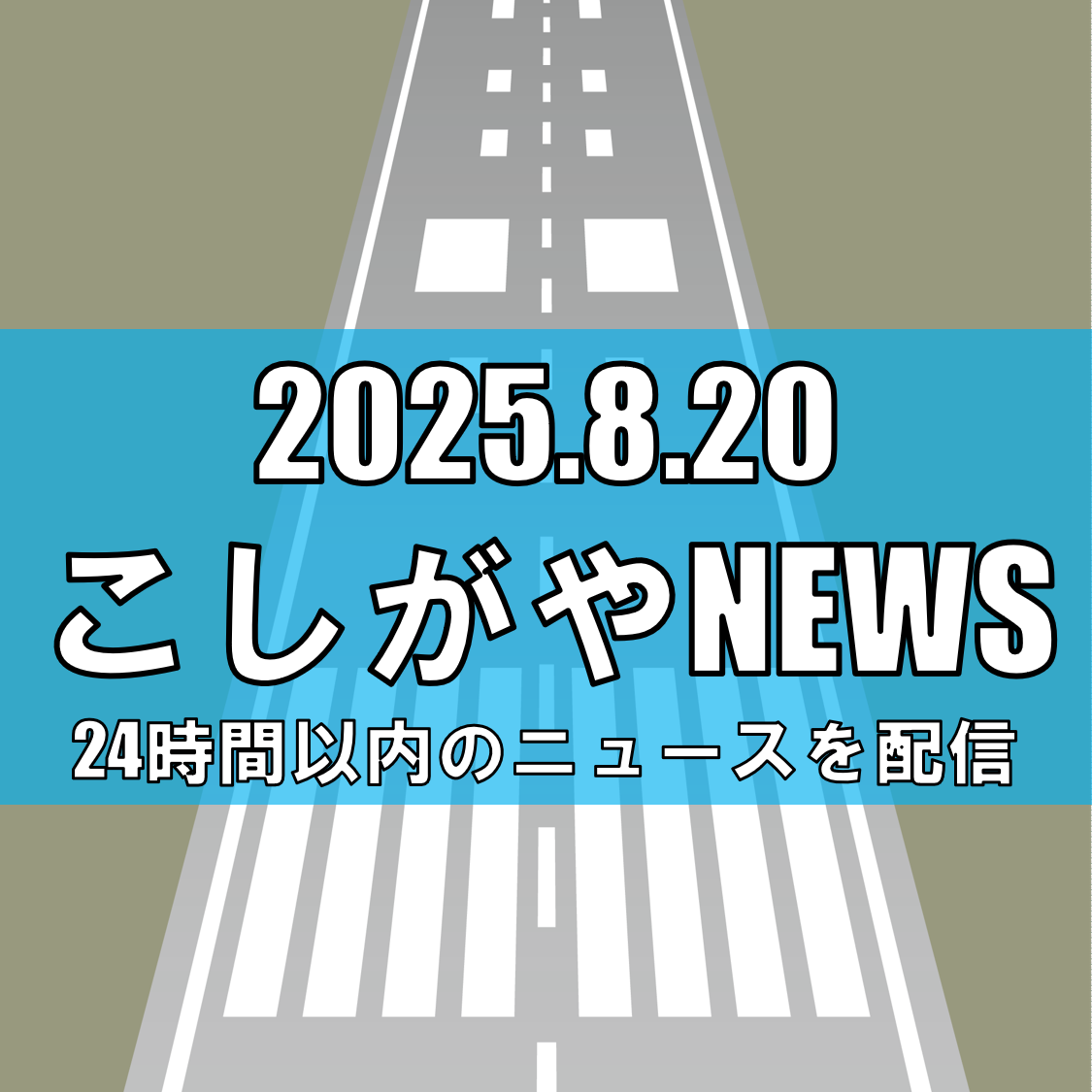 【埋もれた歴史を掘り起こす】幻の越谷飛行場と戦争遺跡を後世へ【越谷ニュース】