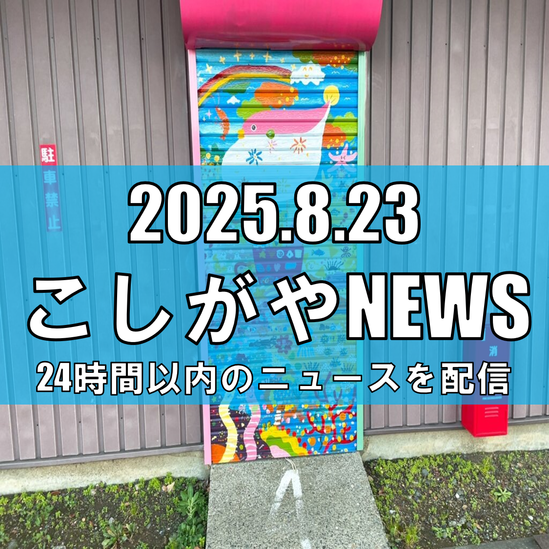 越谷市場がTBS『ひるおび』で紹介！地元の魅力溢れるお店たち【越谷ニュース】