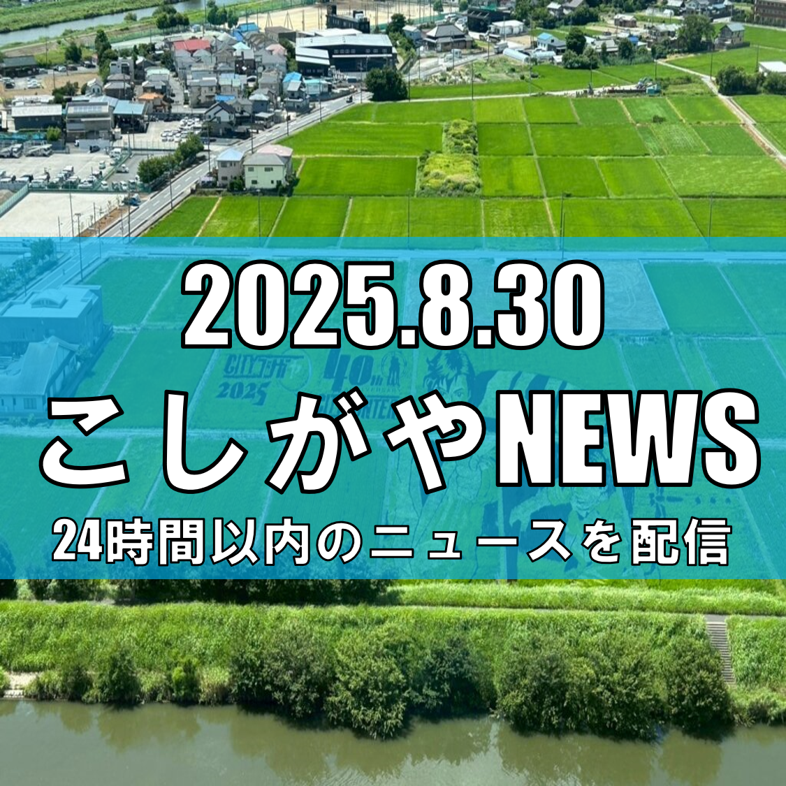 越谷の田んぼアートに“海坊主”現る！シティーハンター40周年で観光協会職員がコスプレ案内【越谷ニュース】