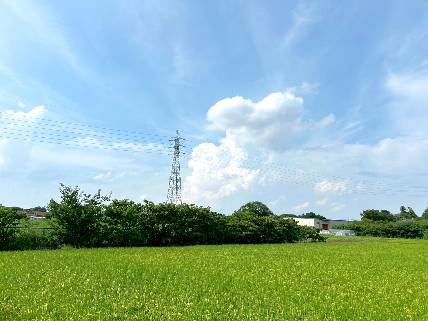 【Vol.70】こしがや百景～青空に残された、私の心は夏模様～