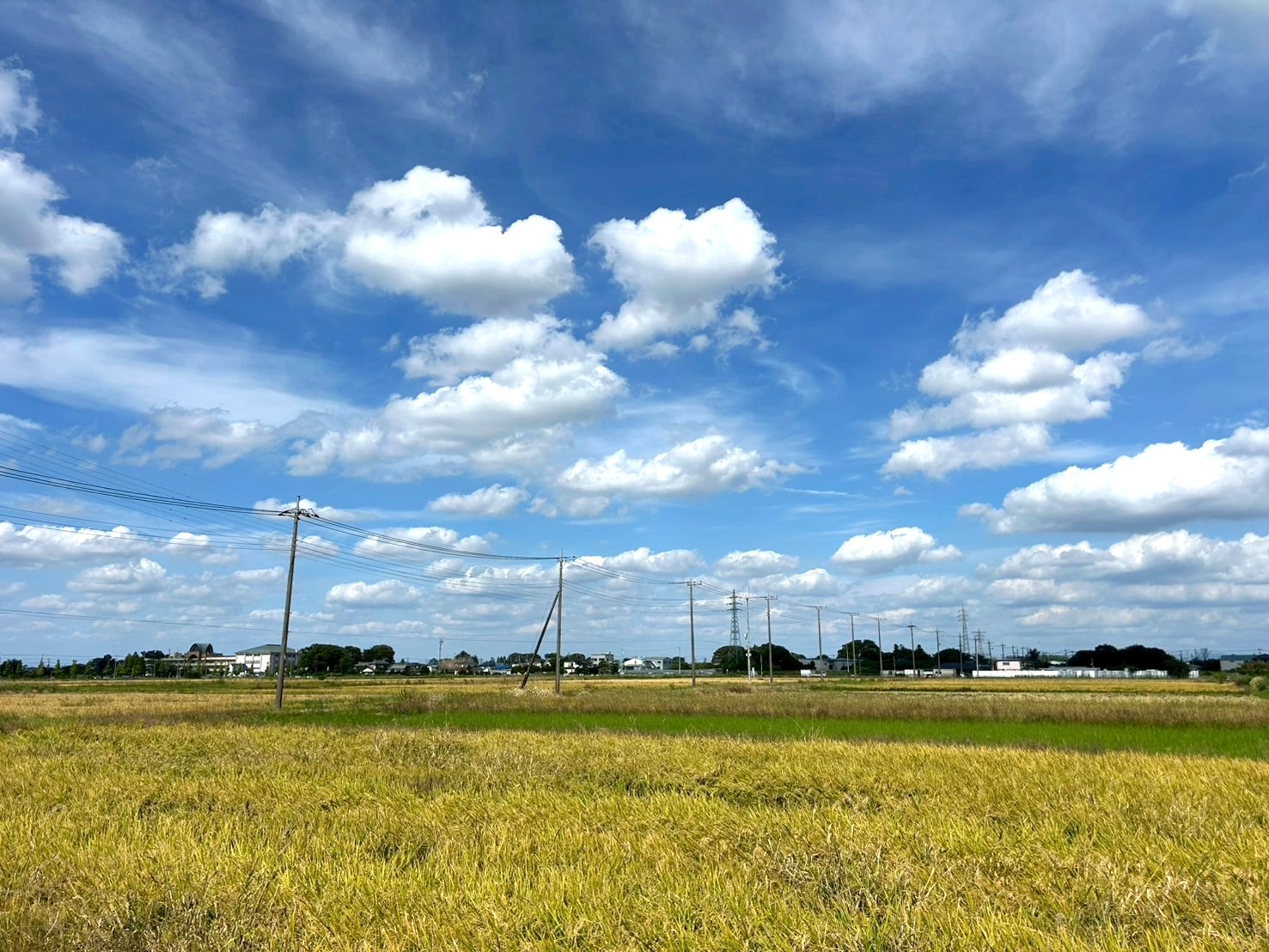 【Vol.75】こしがや百景～Summer time is gone I miss s...