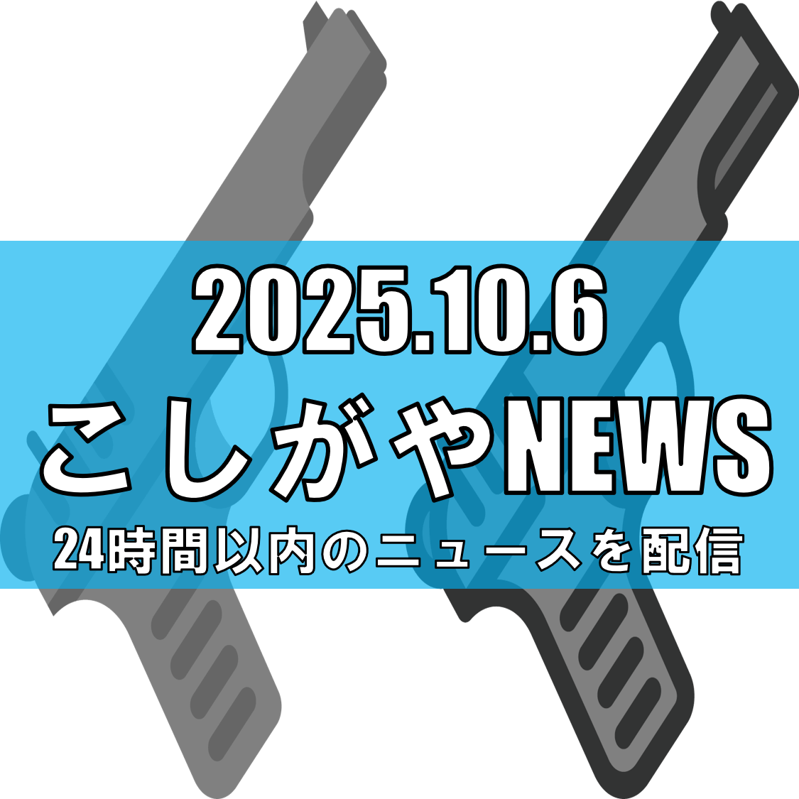 越谷市大間野町3丁目で銃器所持の疑い 若者2人組が目撃される(10月3日夜)【越谷ニュース】
