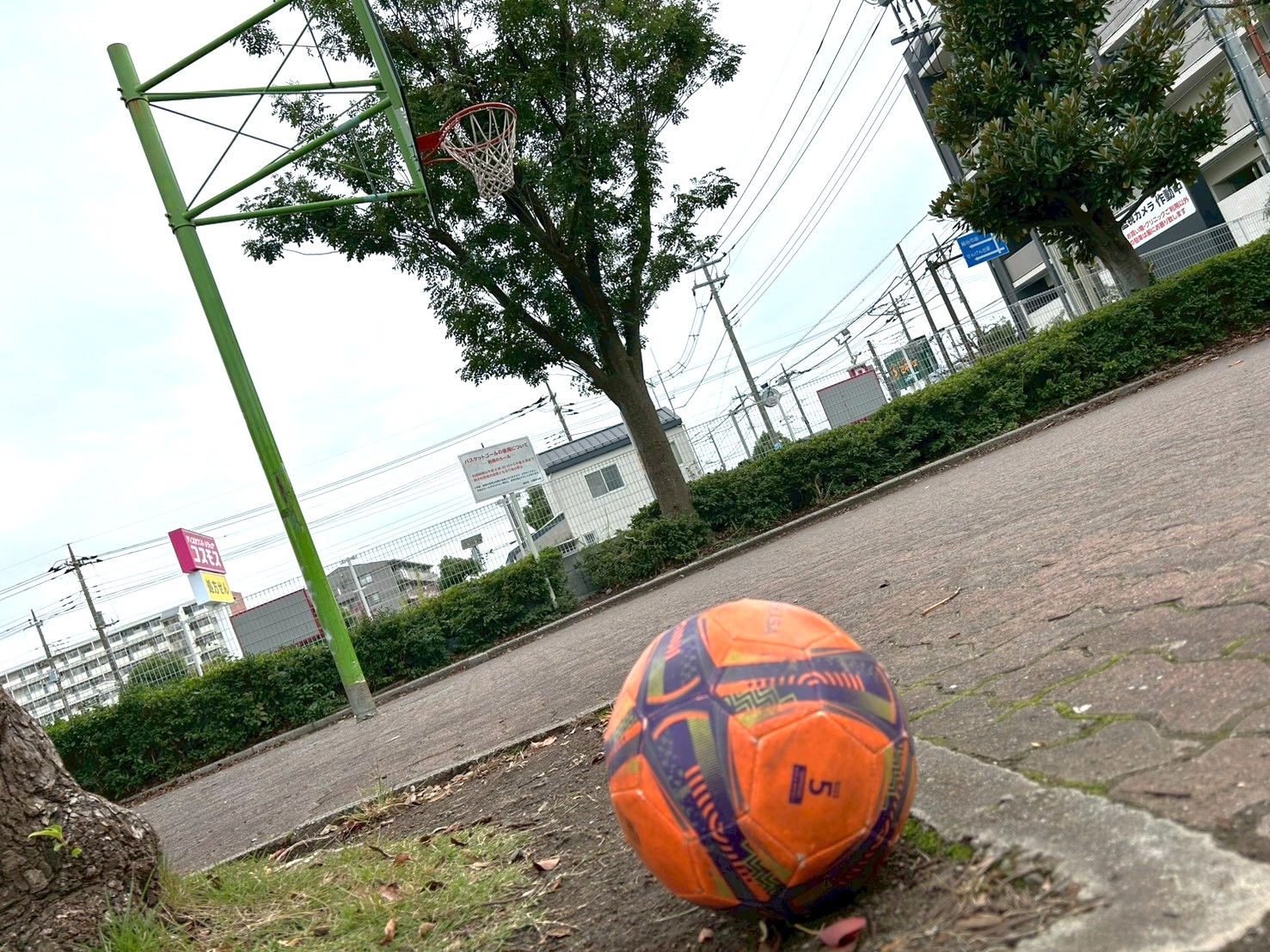 【Vol.80】こしがや百景~あなただけ見つめてる~