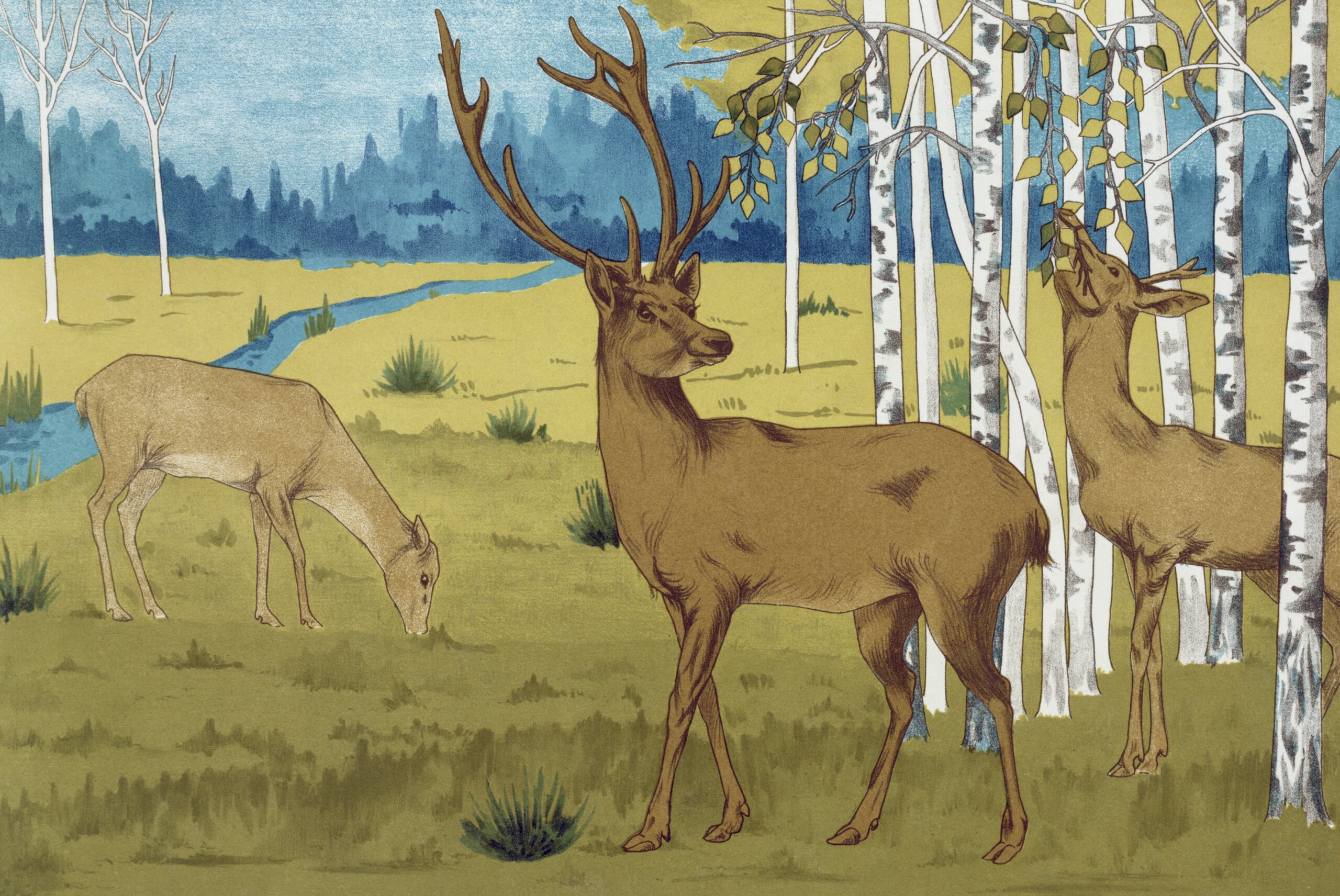 「動物愛護フェスティバル2025」越谷市で開催!【がやてっくイベント】