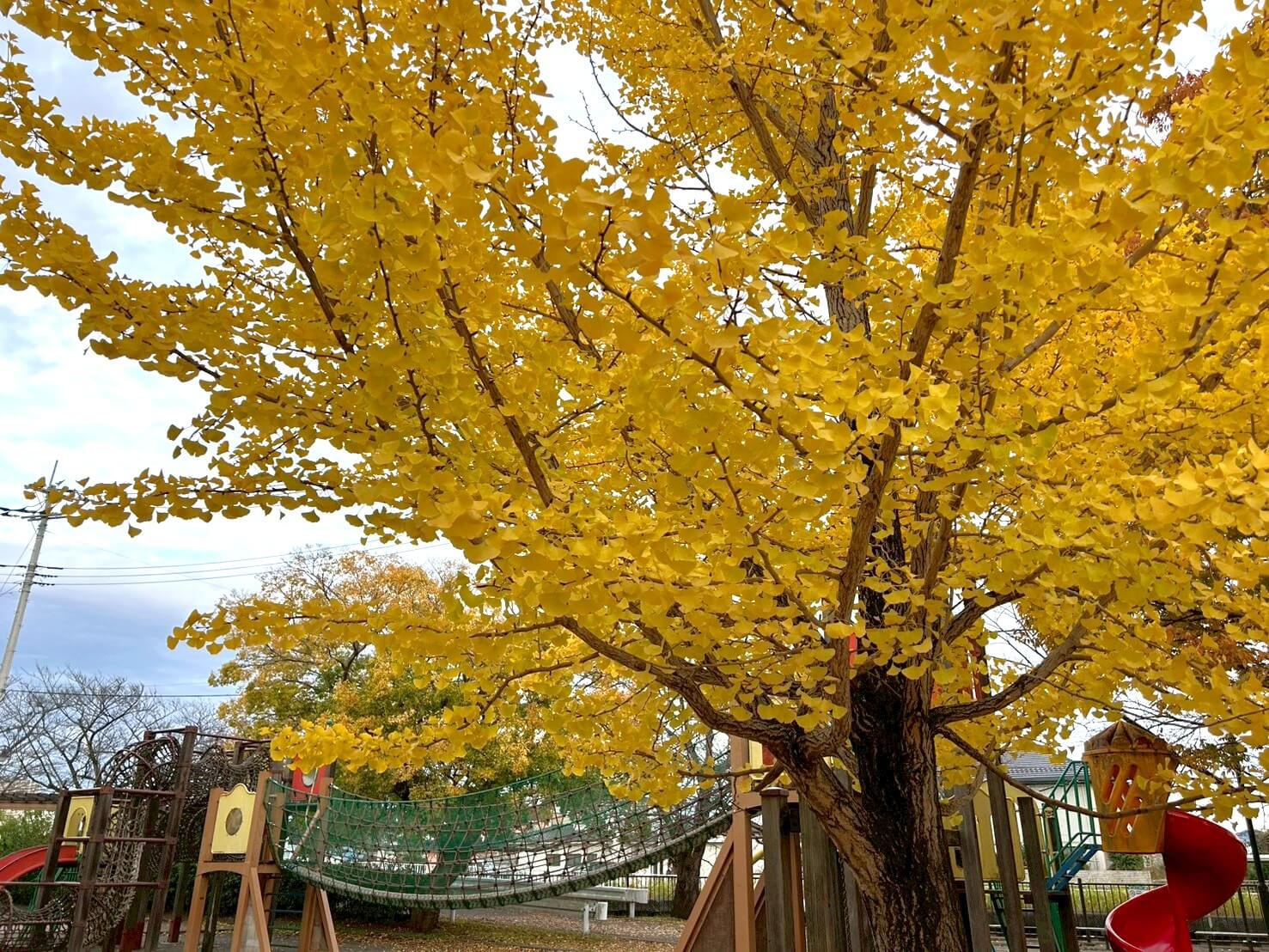 【Vol.82】こしがや百景～切ない片思い、あなたは気づかない～