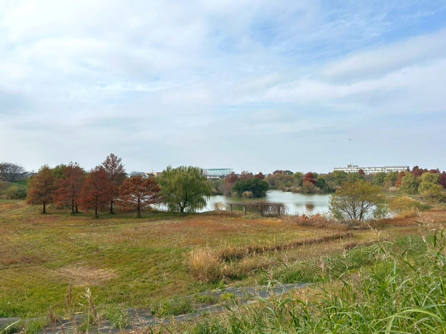 【Vol.85】こしがや百景～冷たい手が優しかった、僕がまだ人だった頃ー。～