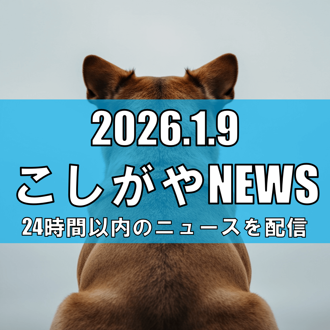 【注意喚起】越谷市西新井で“ピットブルのような犬”が目撃される/外出時は警戒を【...