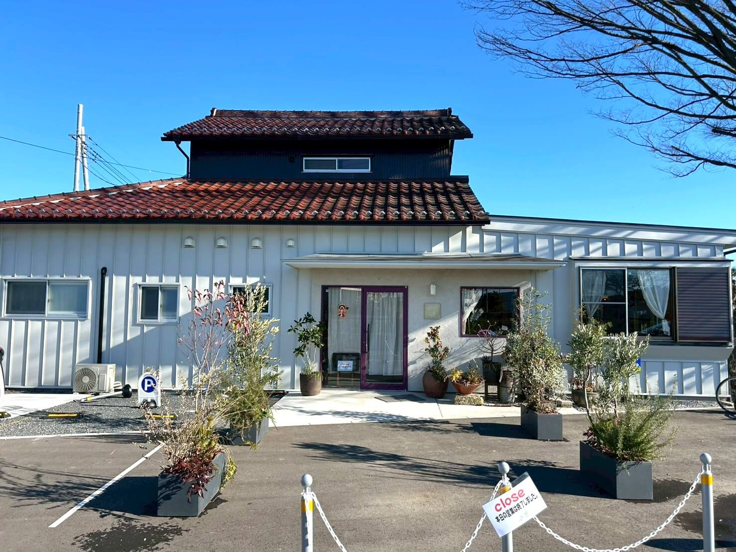 【自然がいっぱい小さなカフェ】2025年12月下旬、増林にYone cafe(ヨネカフェ)がオープンしました【がやてっく開店】