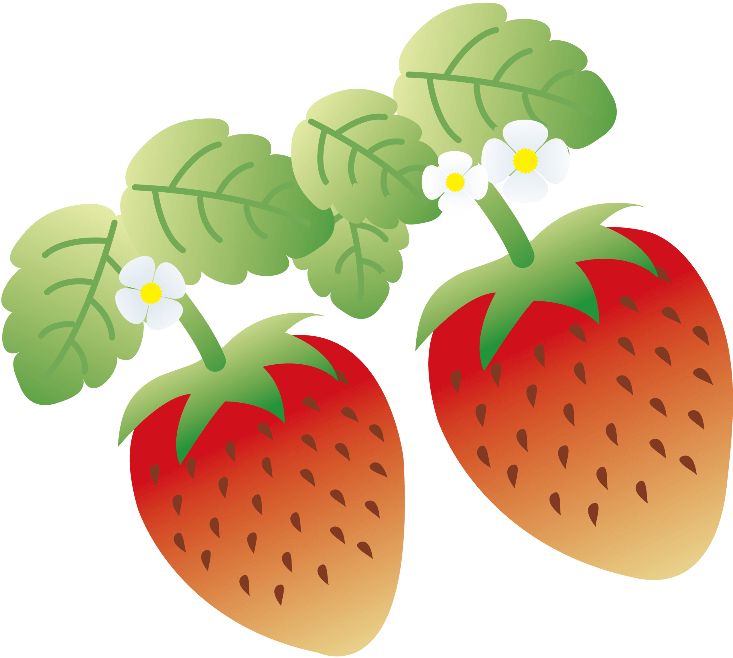 【栃木の全部がやってくる！】イオンレイクタウンにて、第11回栃木県フェアが開催！【がやてっくイベント】