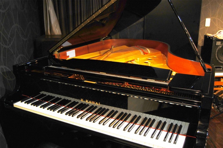 【ピアノで育む心の豊かさ！】のびのびと弾き、ピアノを楽しむ！いわさきピアノ教室！【がや...