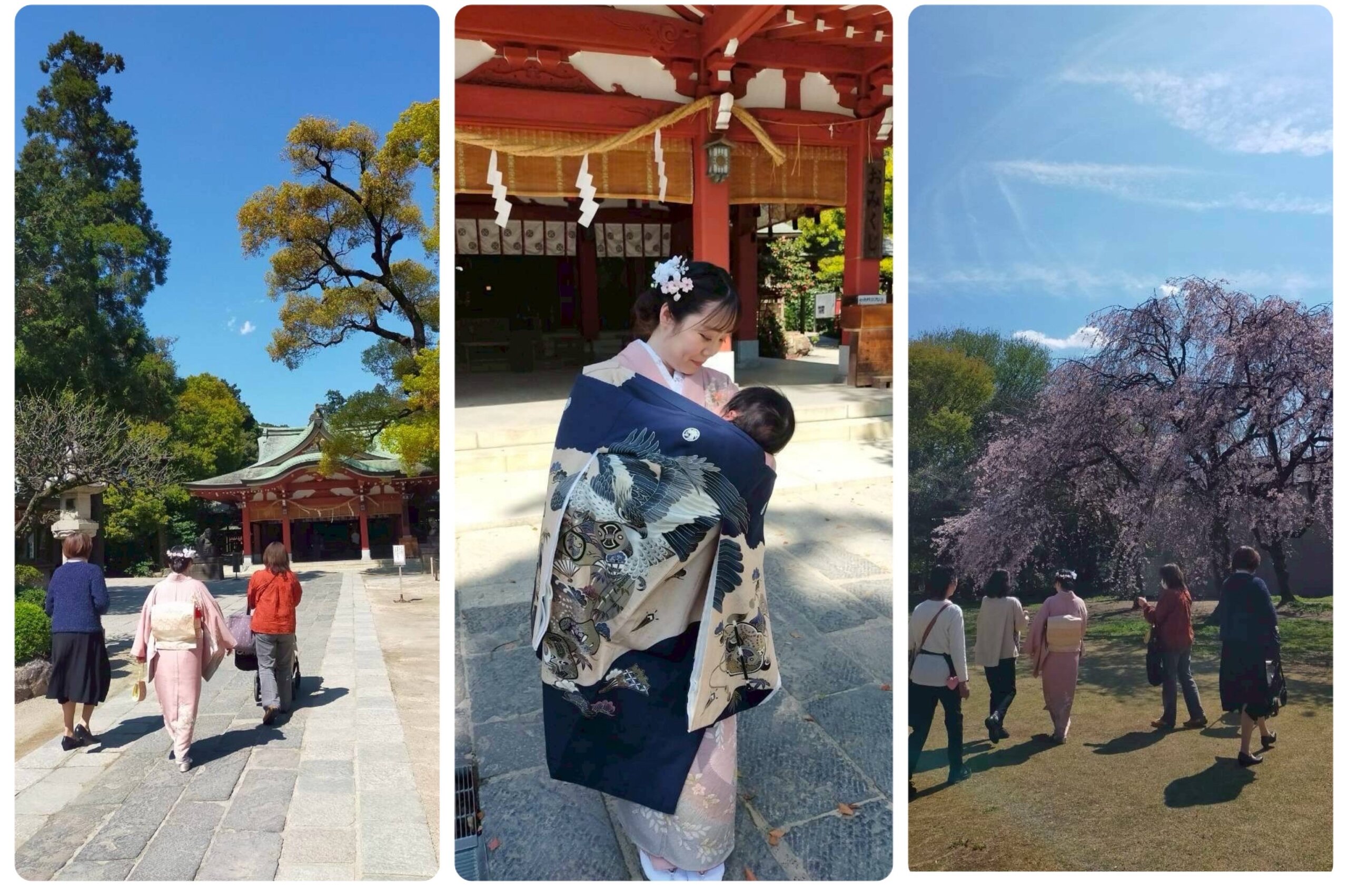 「シンデレラ」に届いたお宮まいり【がやてっくイン】