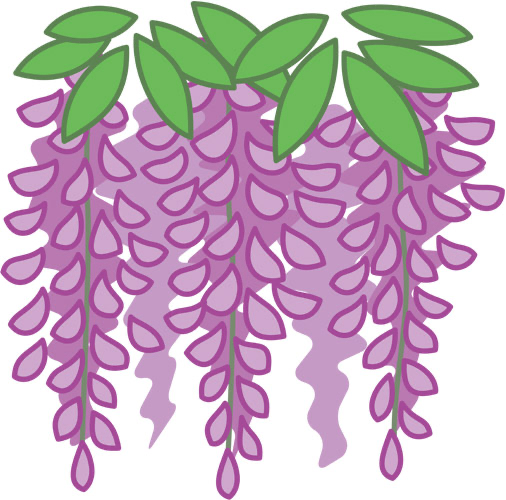 久伊豆神社で「藤まつり」開催！神楽奉納と樹齢200年超の藤を楽しむ【がやてっくイベント】