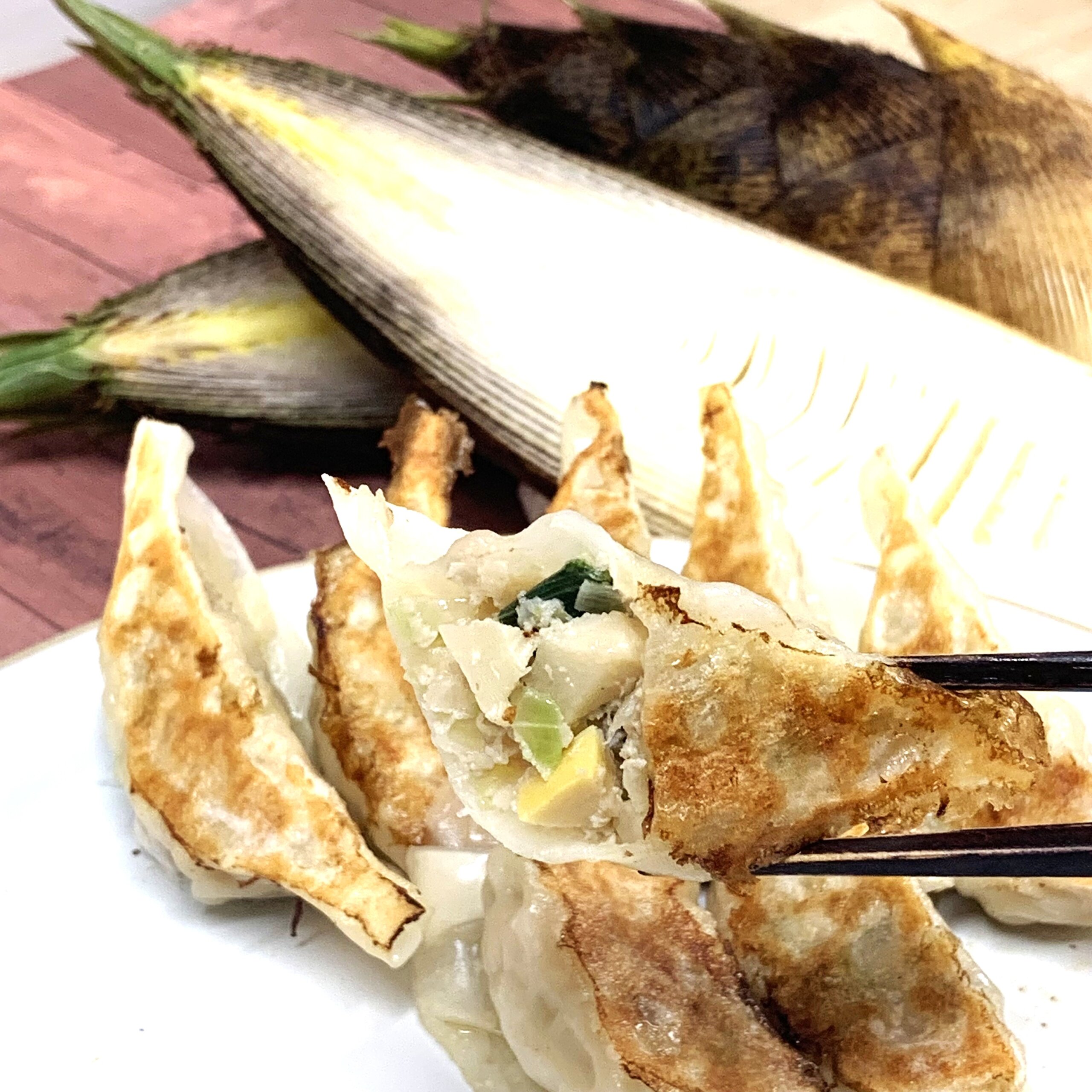 季節の餃子、大人気！たけのこ餃子の販売が開始しました【がやてっくイン】