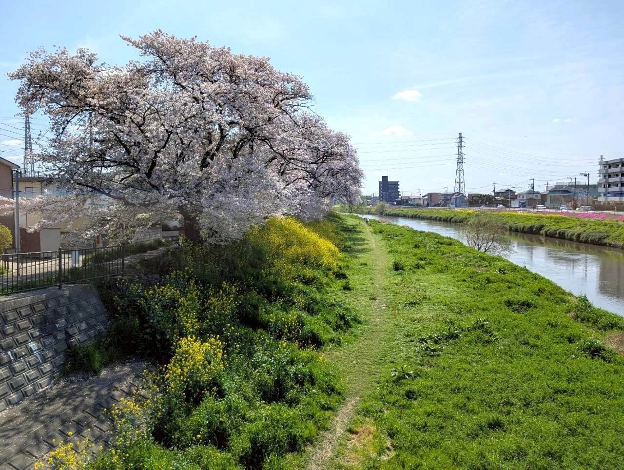 【THE FINAL】こしがや百景～Thank You Koshigaya I LOVE YOU Baby～