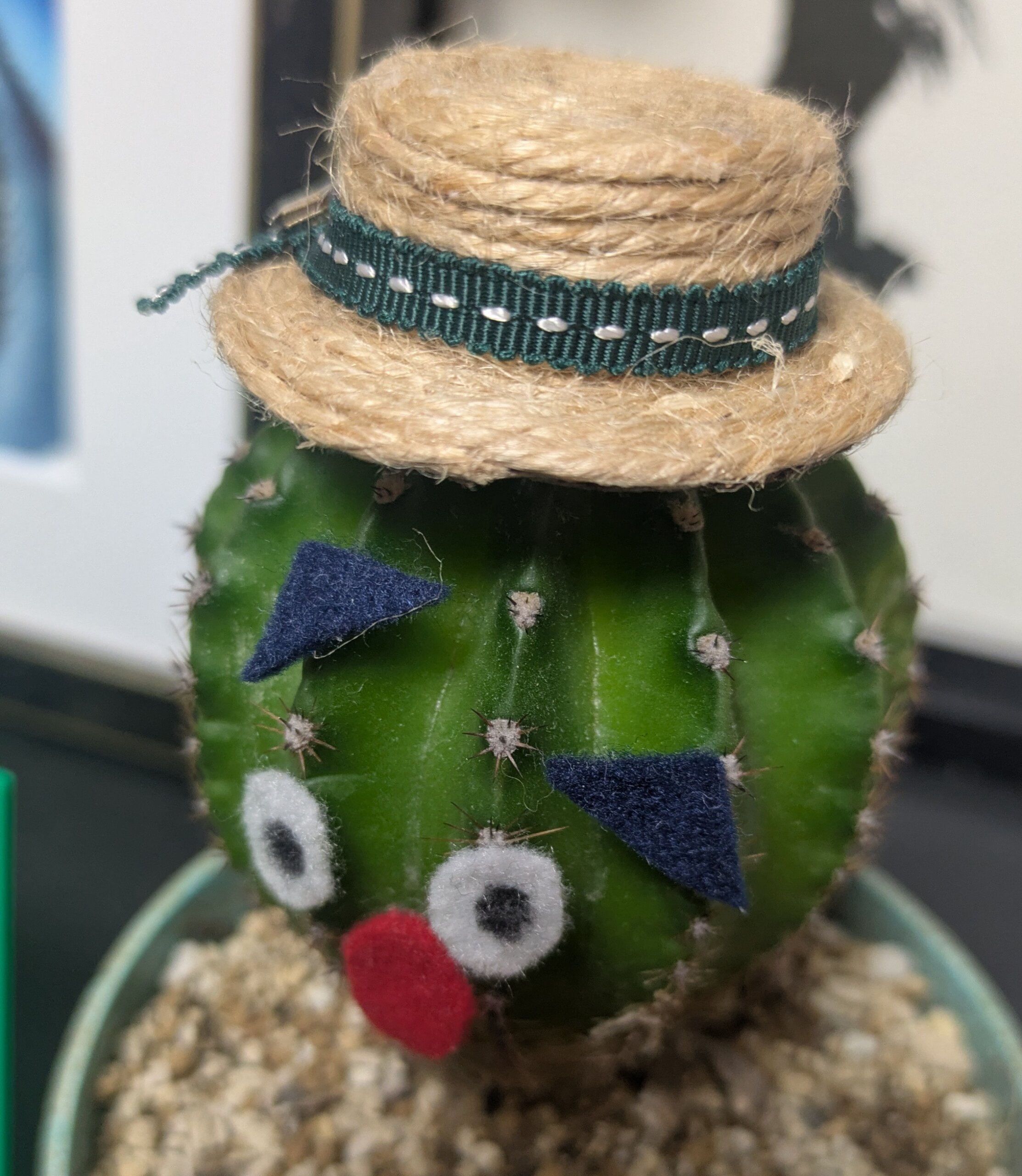 サボテンてすごい【がやてっくイン】