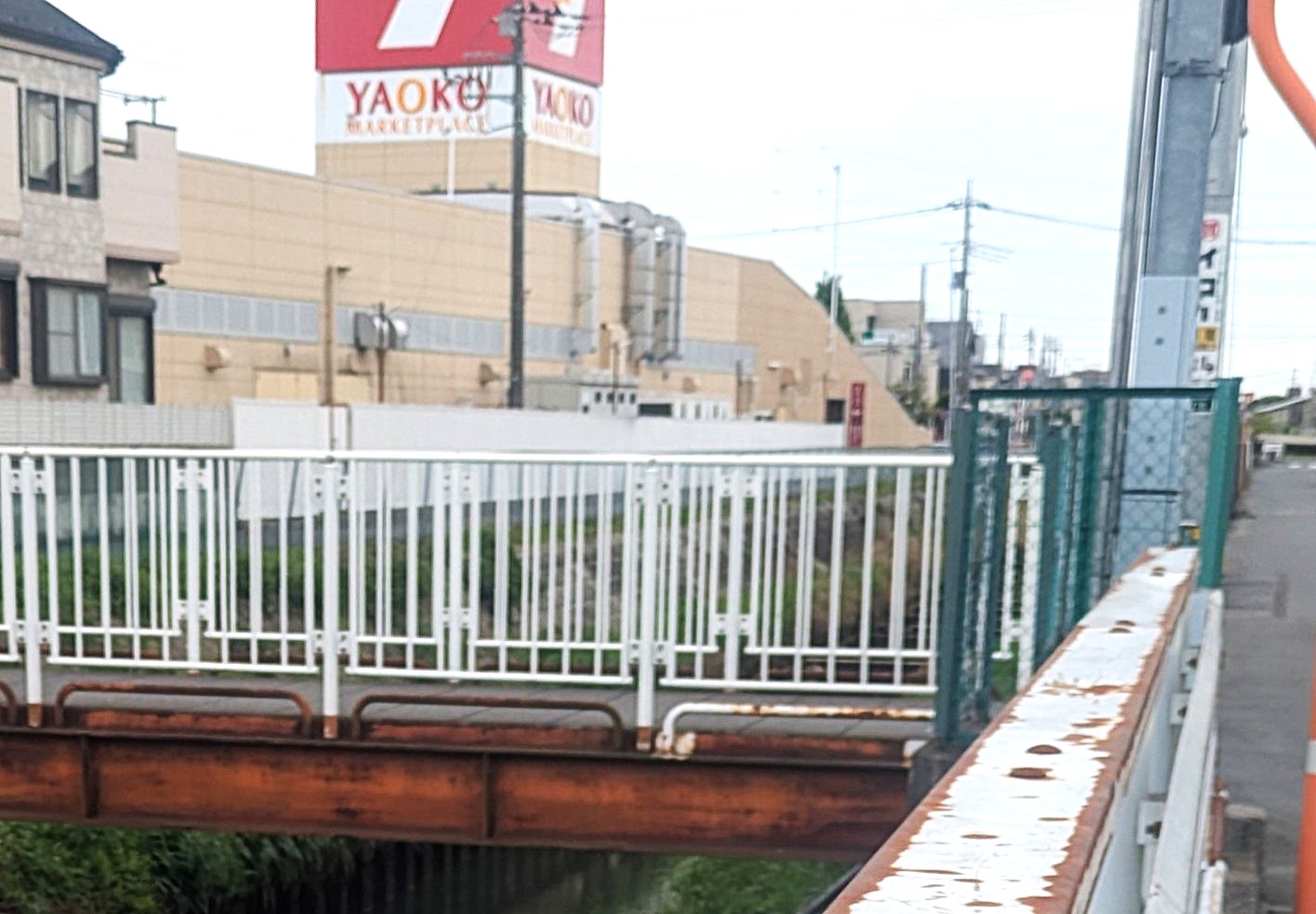 珍☆越谷百景 生物編【がやてっくイン】