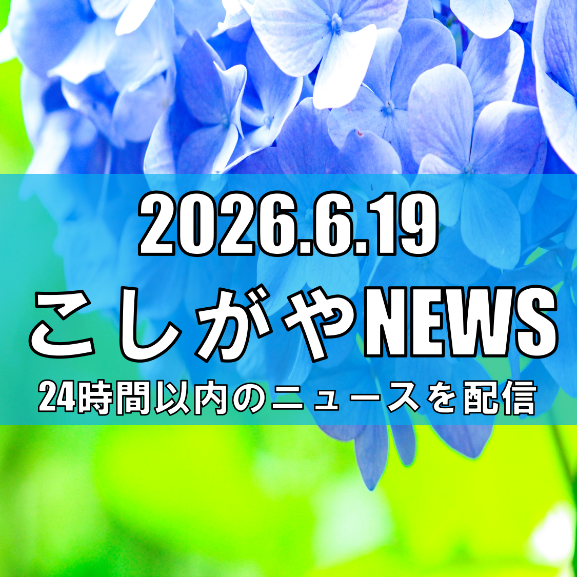 【市内外から多くの人が訪れる】越谷の葛西親水緑道でアジサイ850株が見頃!全長1.3キロの遊歩道が紫やピンクに染まる【越谷ニュース】