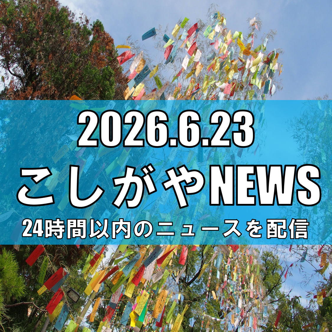 【地域とつながる七夕祭り】せんげんパークロード商店会×埼玉県立大生が企画、7月3日・4日開催【越谷ニュース】