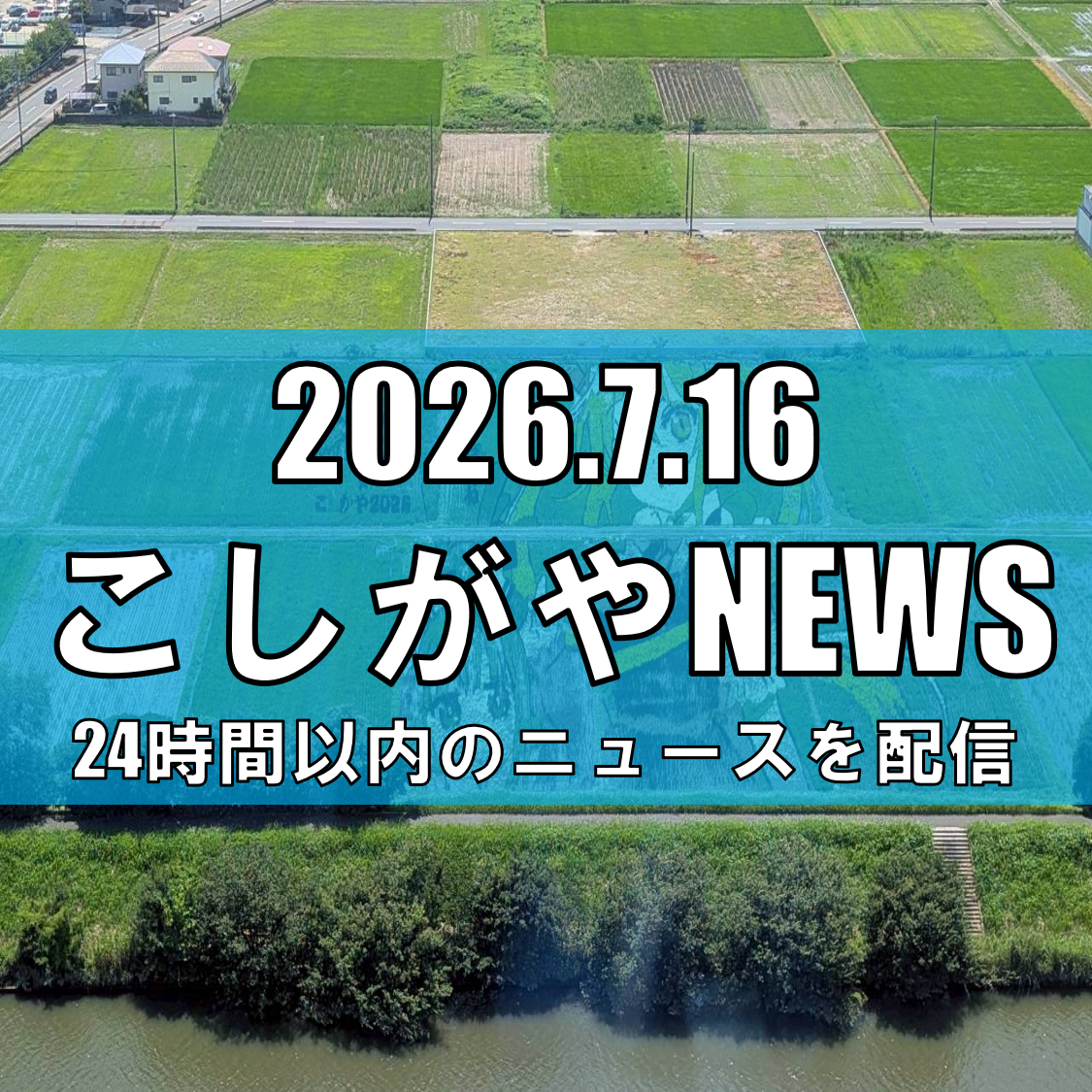 【今年のテーマは「小林さんちのメイドラゴン」！】越谷の「こしがや田んぼアート」が...