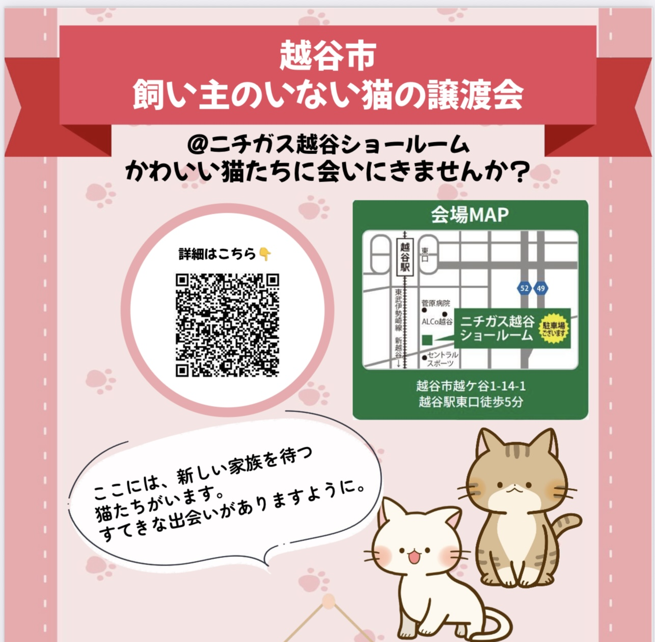 【初のニチガス越谷ショールーム開催！】越谷市飼い主のいない猫の譲渡会【読者投稿：がやてっくイン】