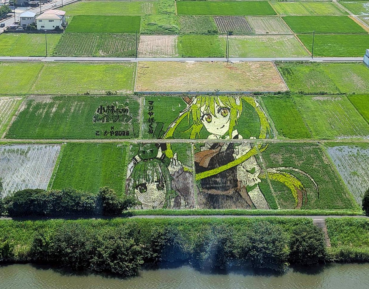 こしがや田んぼアート、連休中に見に行きました【読者投稿:がやてっくイン】