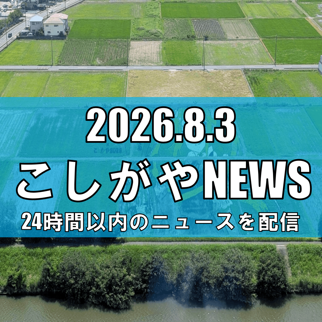 【聖地・越谷でコラボ始動！】「小林さんちのメイドラゴン」×越谷市、田んぼアート声...