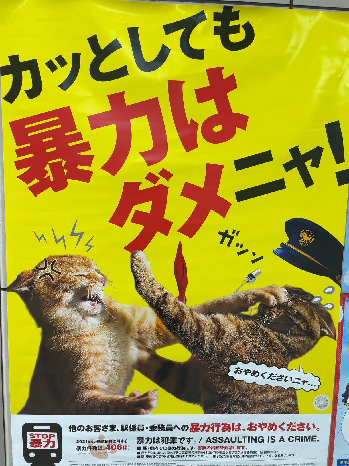 右側の猫の本音をどうぞ
