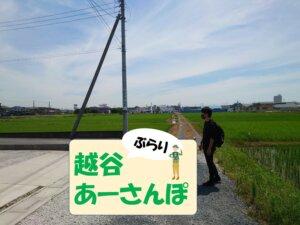 7/13(水)【Vol.28】野中～果てしない田んぼ