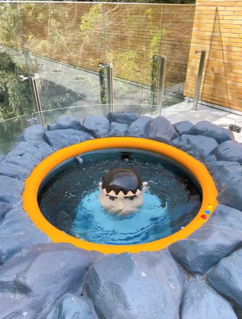 ジャイアンが沈んでいく。