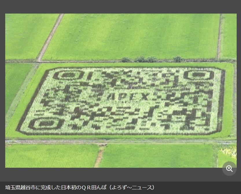 7/29(金)日本初「QR田んぼ」が埼玉県越谷市に完成