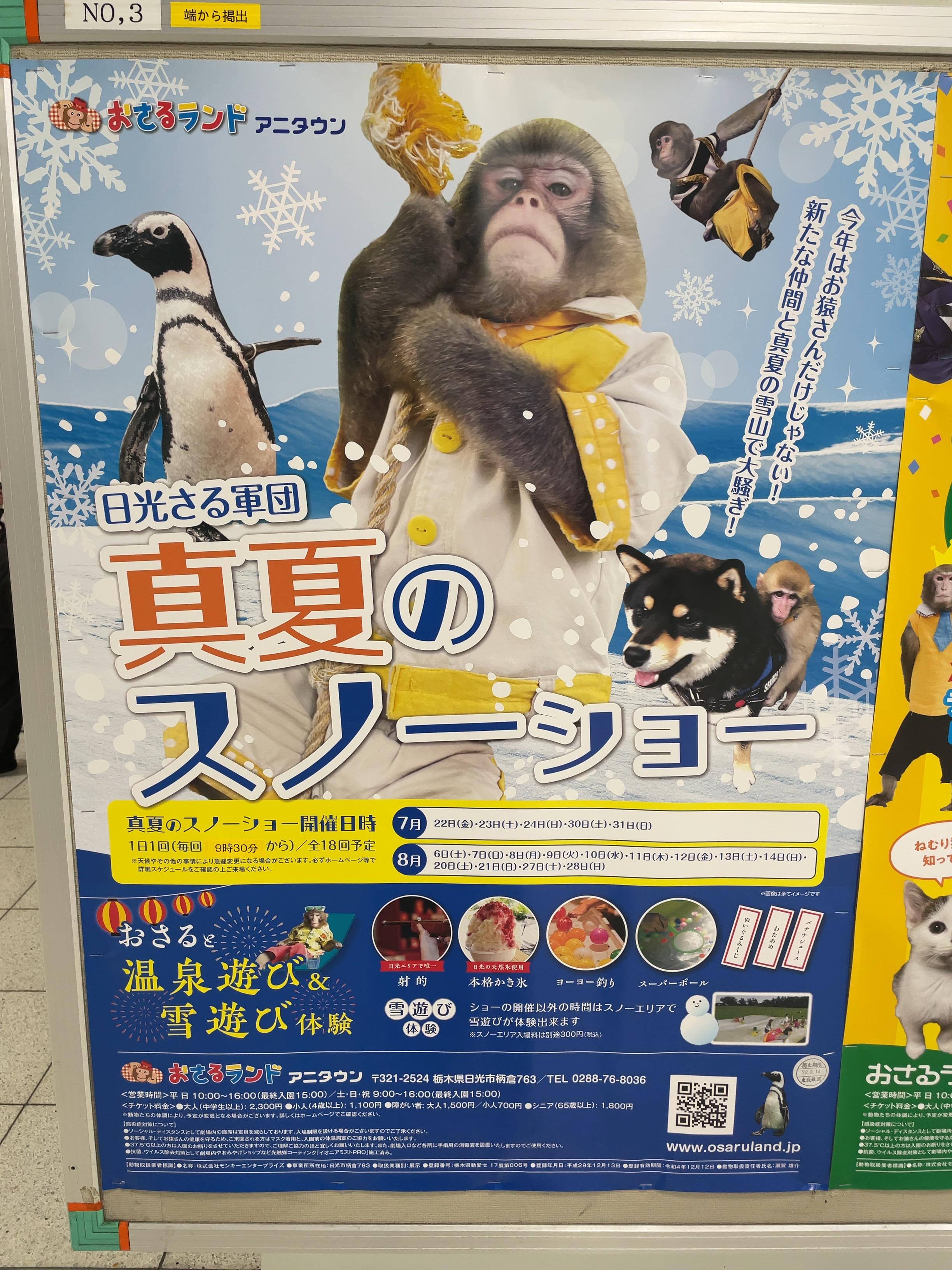 おさるランドのペンギンが思うこと。