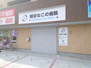 9/13(火)東越谷に越谷ねこの病院が開院