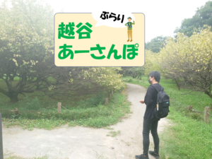 9/21(水)【Vol.37】～後編～越谷梅林公園