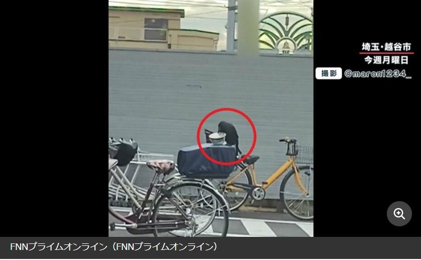 【独自取材】カラス被害の現場は越谷市